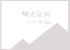 河北白山会计有限公司